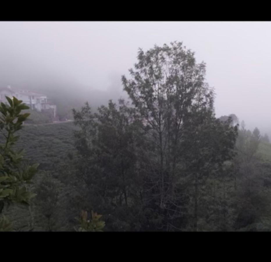 The Valley Villa Kotagiri Exteriör bild